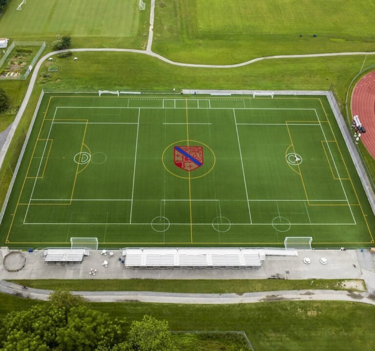 Soccer Field image 2