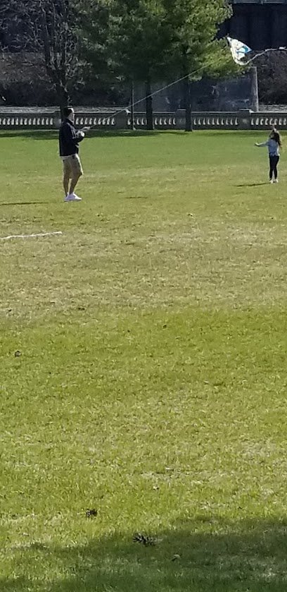 Soccer Field image 1