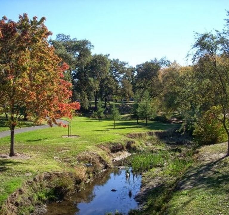Soccer Field image 2