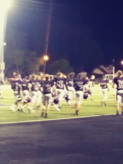 Soccer Field image 1