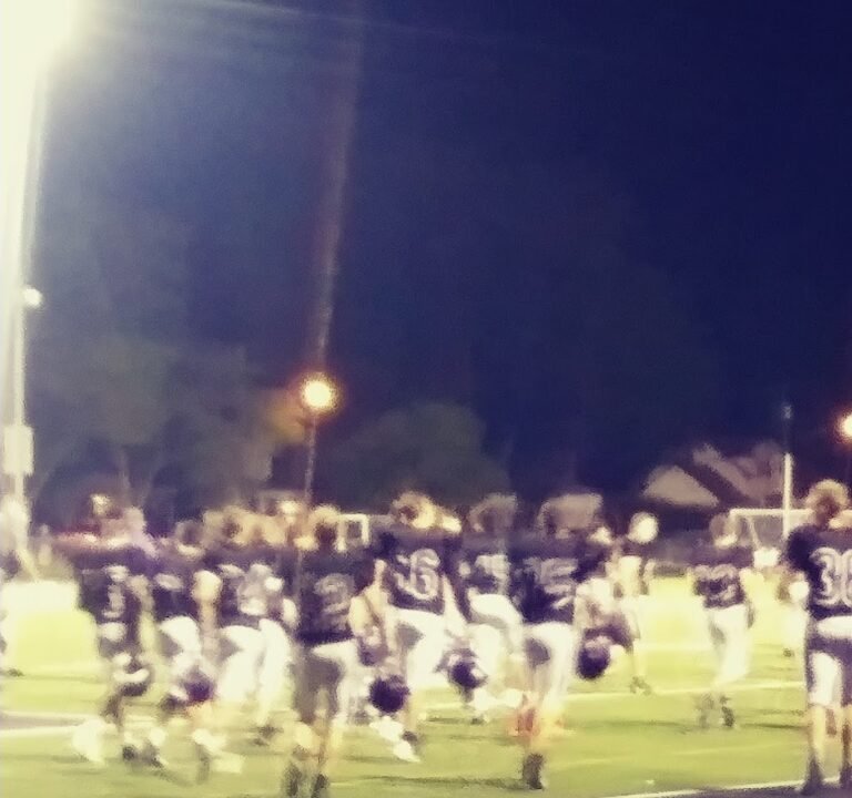 Soccer Field image 2