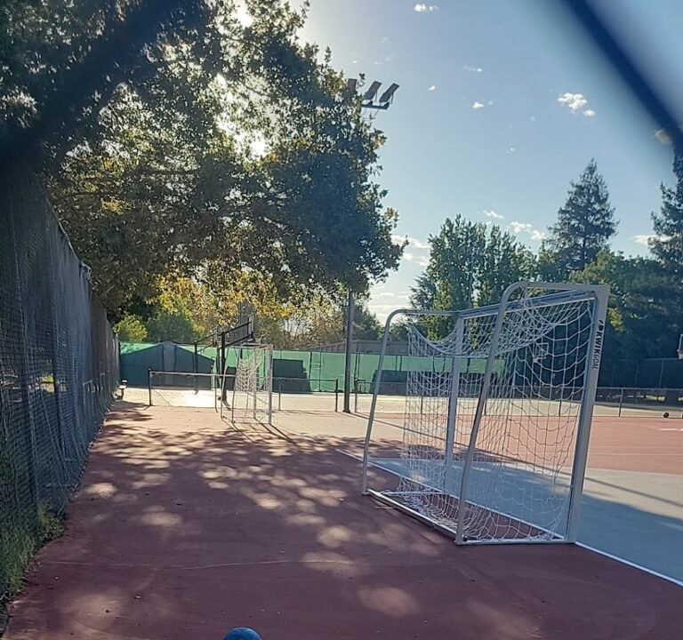 Soccer Field image 2