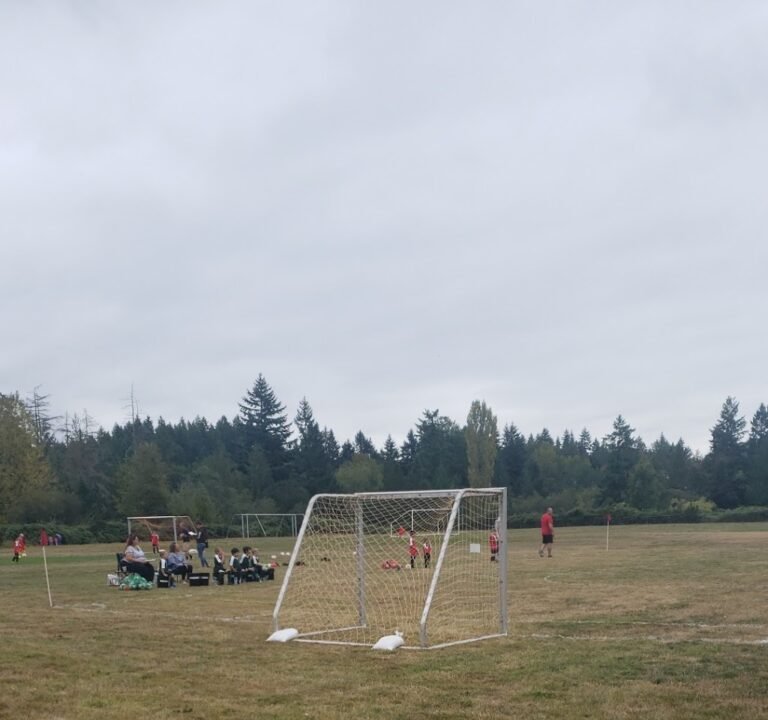 Soccer Field image 2