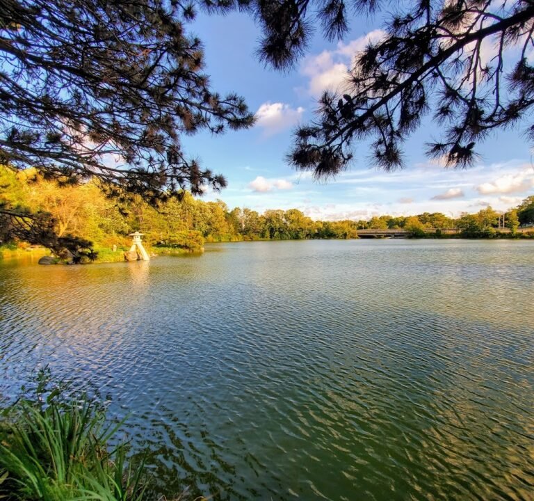 Soccer Field image 2