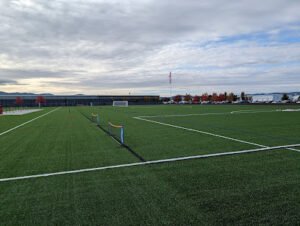 Soccer Field image 1