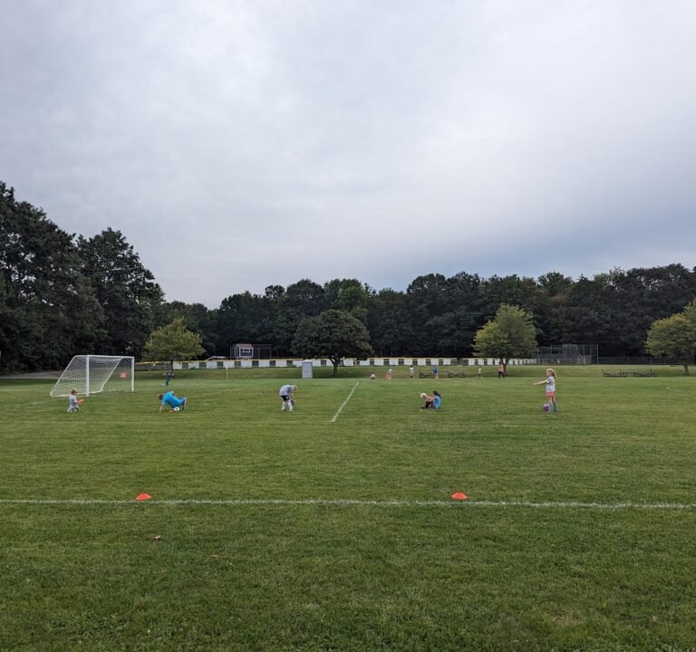 Soccer Field image 2