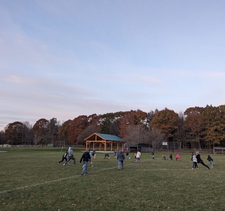 Soccer Field image 3