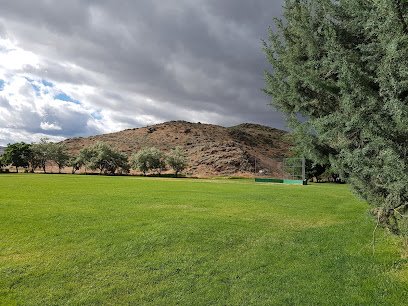 Soccer Field image 1