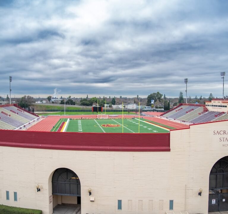 Soccer Field image 2