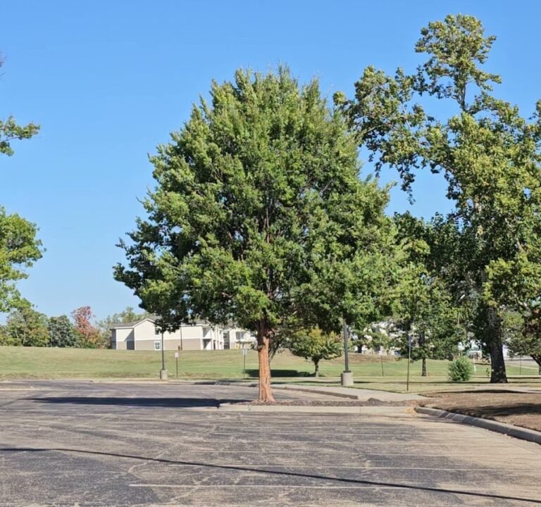 Soccer Field image 4