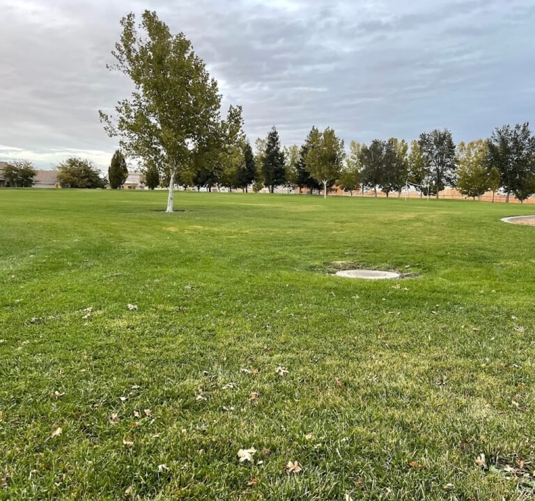 Soccer Field image 2