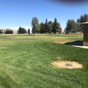 Soccer Field image 1
