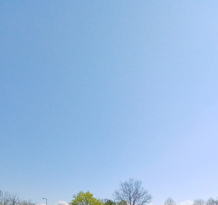 Soccer Field image 2