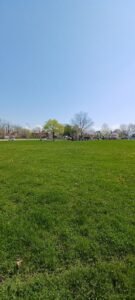 Soccer Field image 1