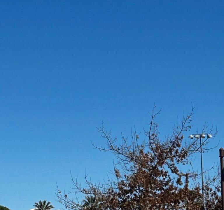 Soccer Field image 3