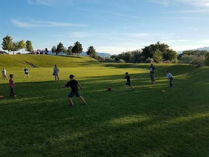 Soccer Field image 1