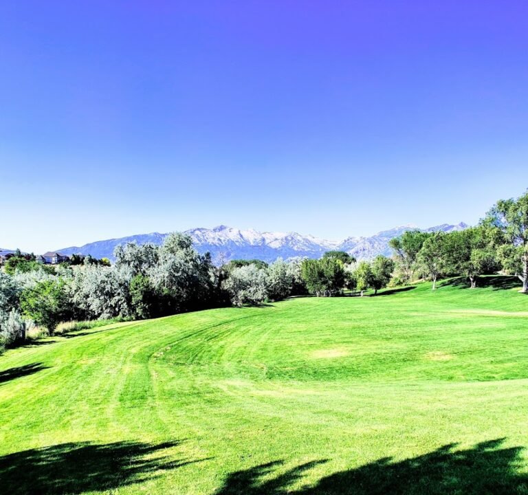 Soccer Field image 3