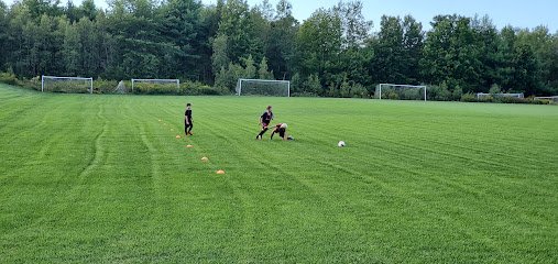 Soccer Field image 1
