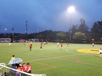 Soccer Field image 1