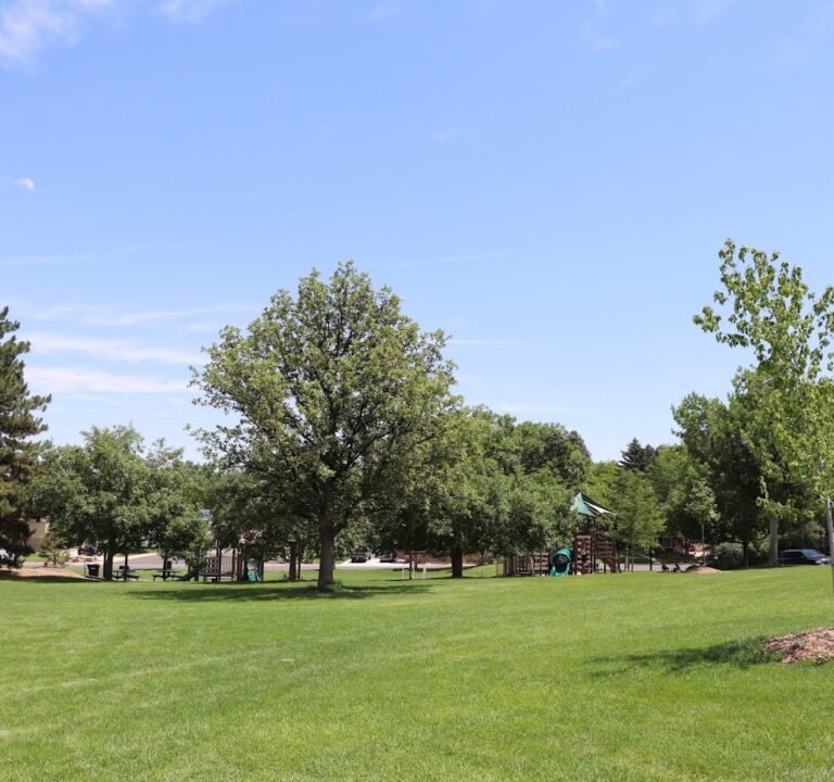 Soccer Field image 2