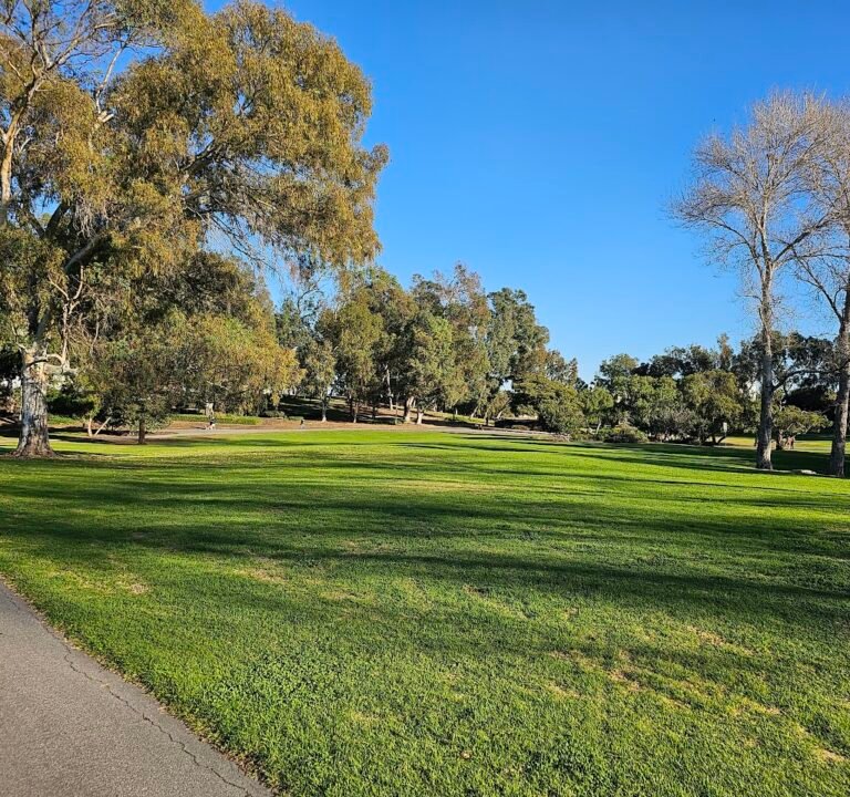 Soccer Field image 2
