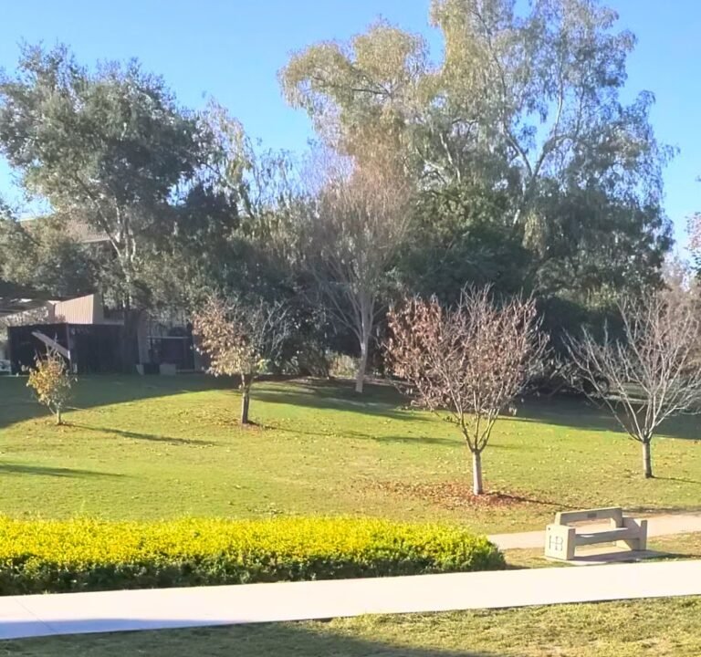 Soccer Field image 4