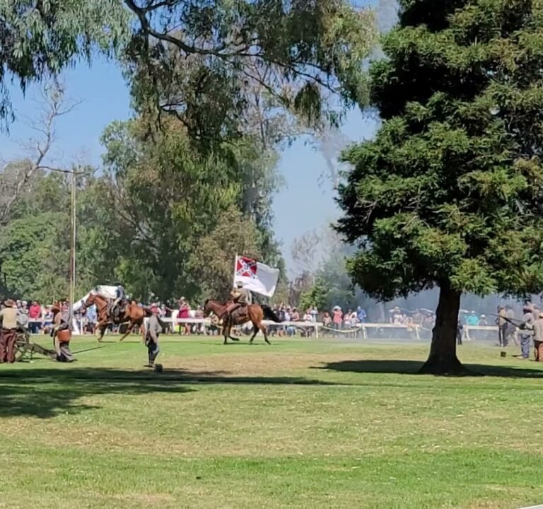 Soccer Field image 4