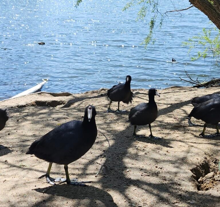 Soccer Field image 3
