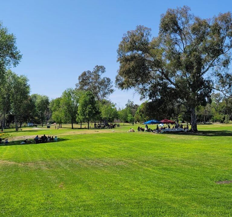 Soccer Field image 2