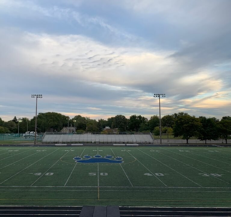 Soccer Field image 2