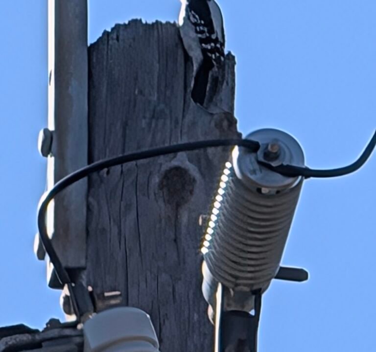 Soccer Field image 3