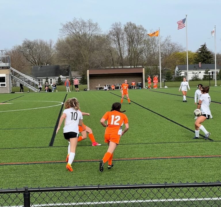 Soccer Field image 2