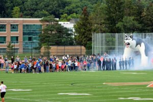 Soccer Field image 1