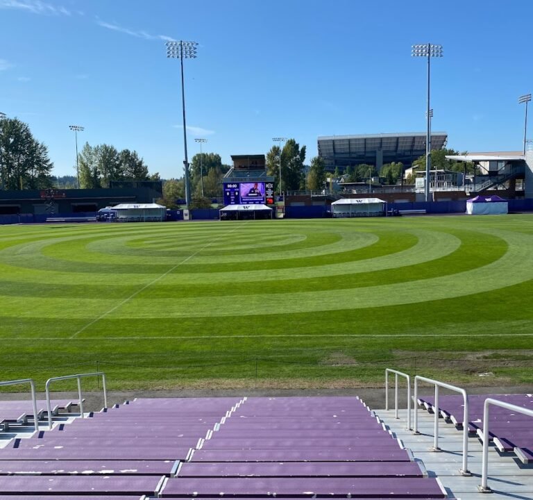 Soccer Field image 2
