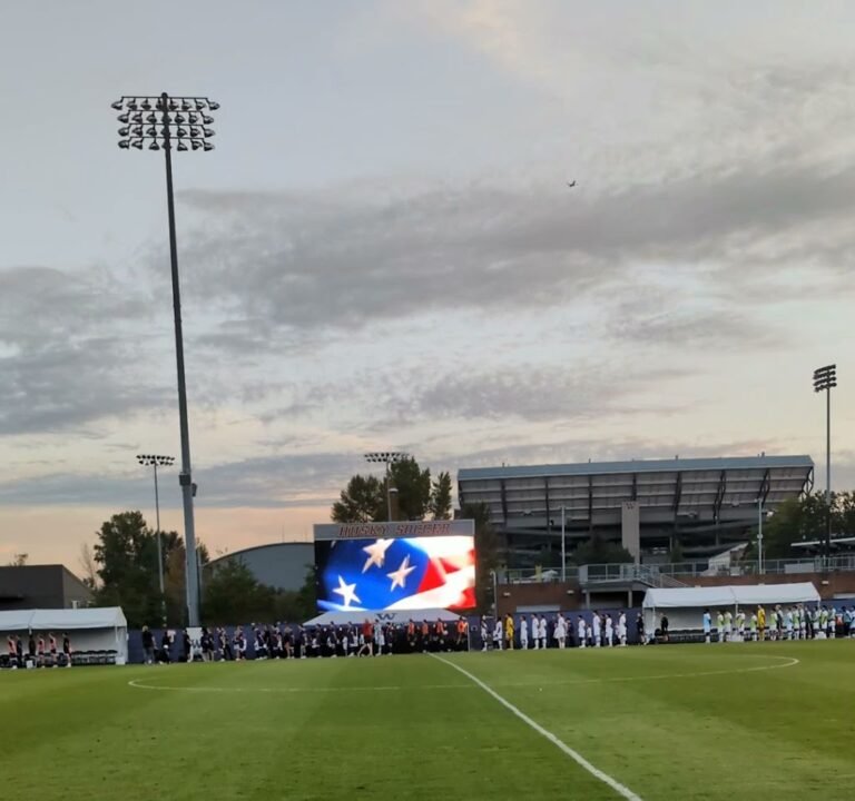 Soccer Field image 3