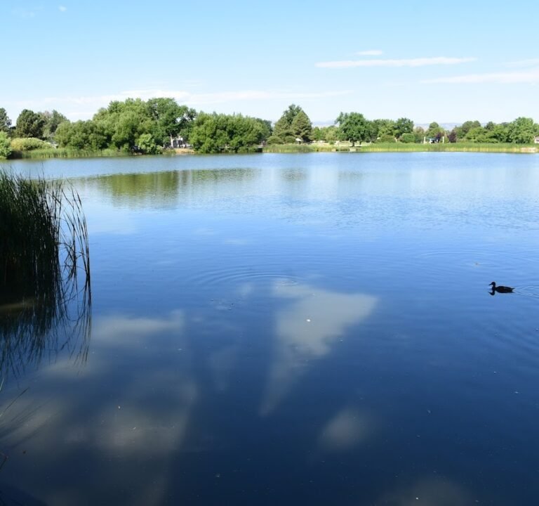 Soccer Field image 2