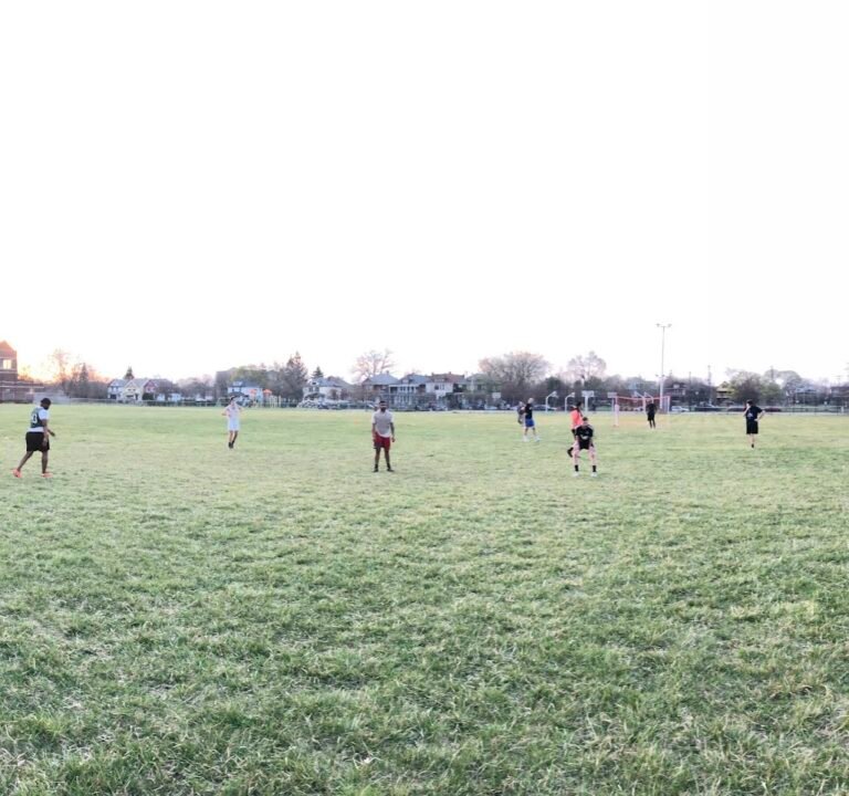 Soccer Field image 2