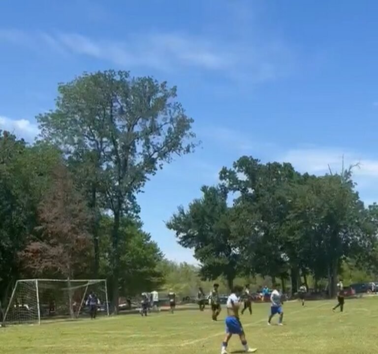 Soccer Field image 2