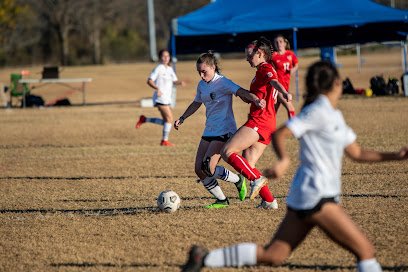 Soccer Field image 1