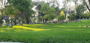 Soccer Field image 1