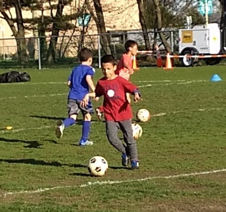 Soccer Field image 3