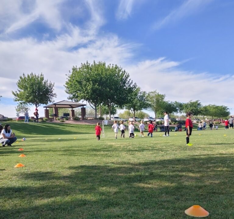 Soccer Field image 2