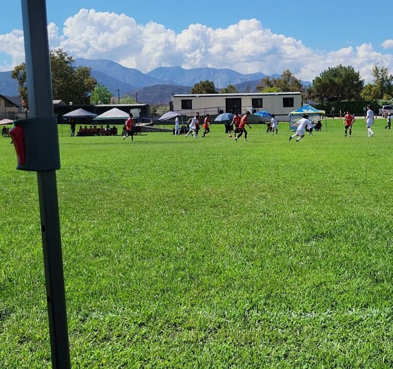 Soccer Field image 2