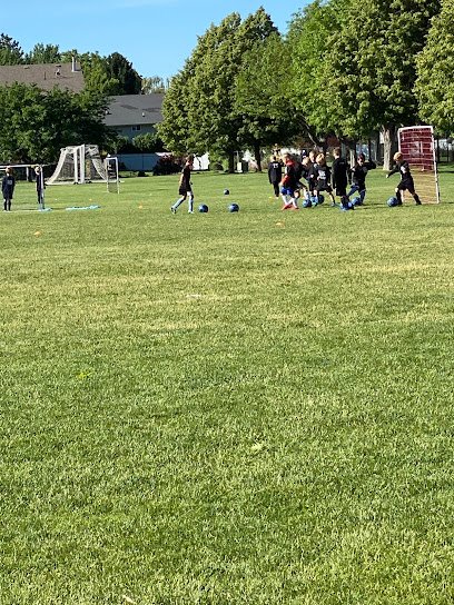Soccer Field image 1