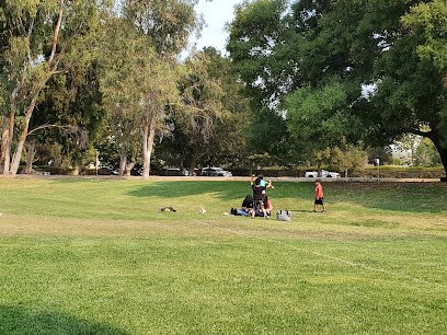 Soccer Field image 1