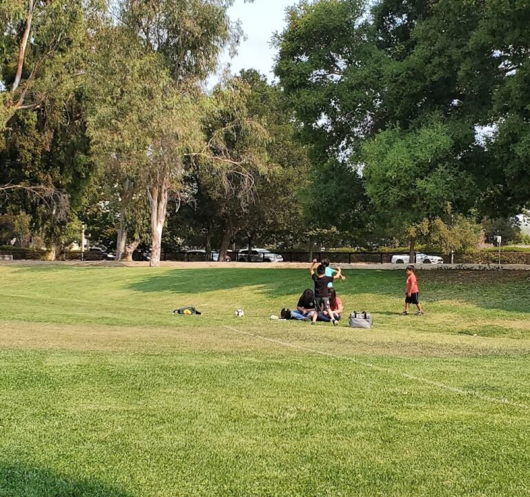 Soccer Field image 2