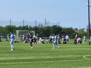Soccer Field image 1