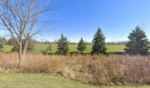 Soccer Field image 1