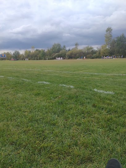 Soccer Field image 1
