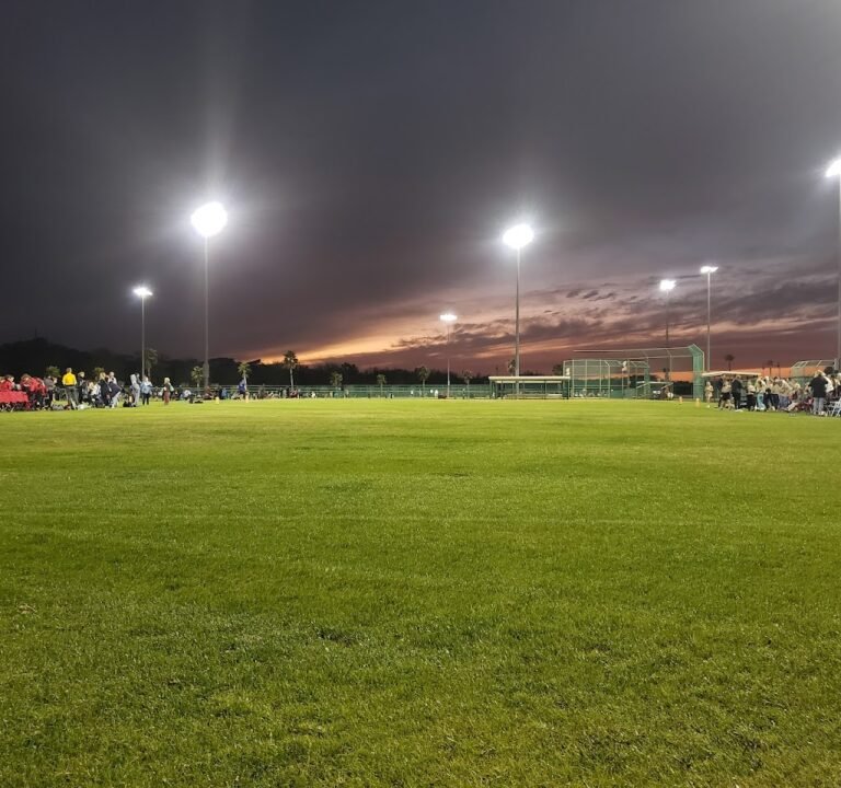 Soccer Field image 2